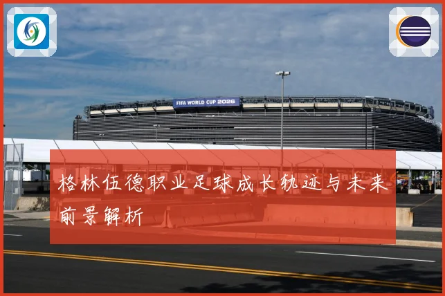 格林伍德职业足球成长轨迹与未来前景解析