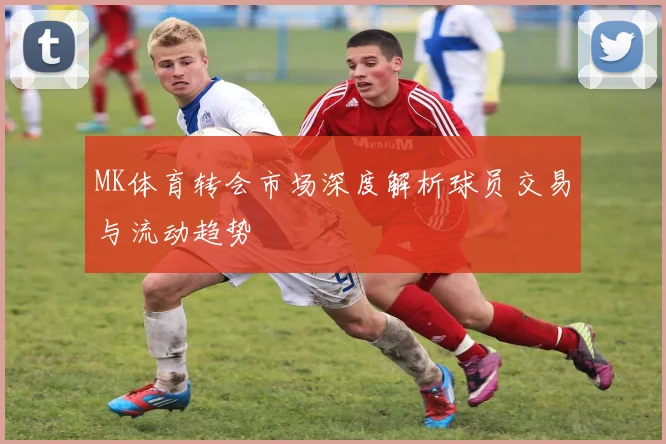 MK体育转会市场深度解析球员交易与流动趋势